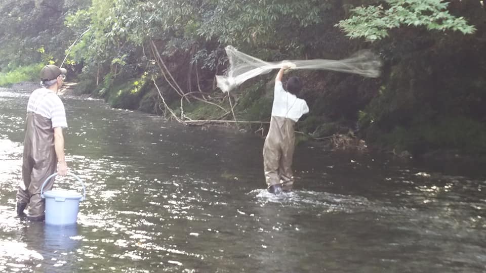 f:id:linkskomagawa:20180918013241j:plain