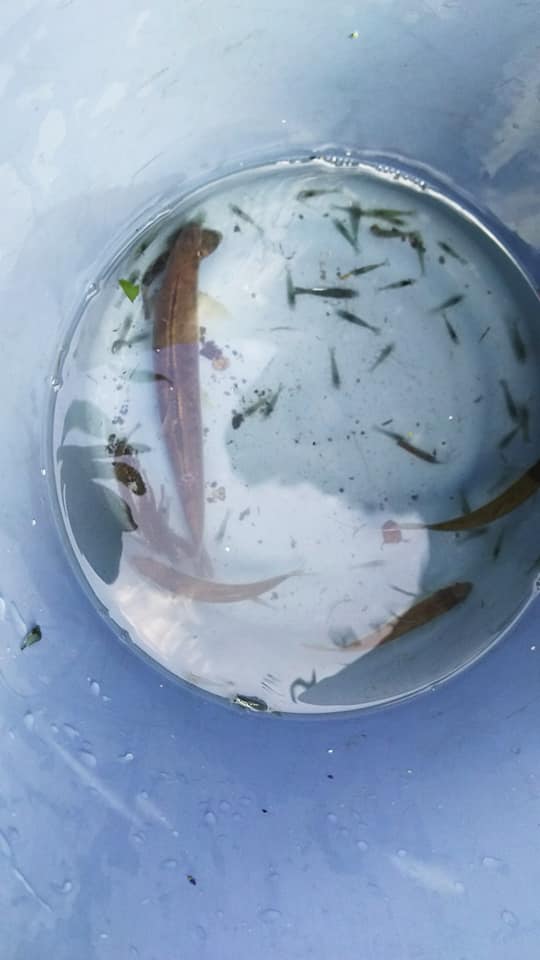 f:id:linkskomagawa:20180918013351j:plain