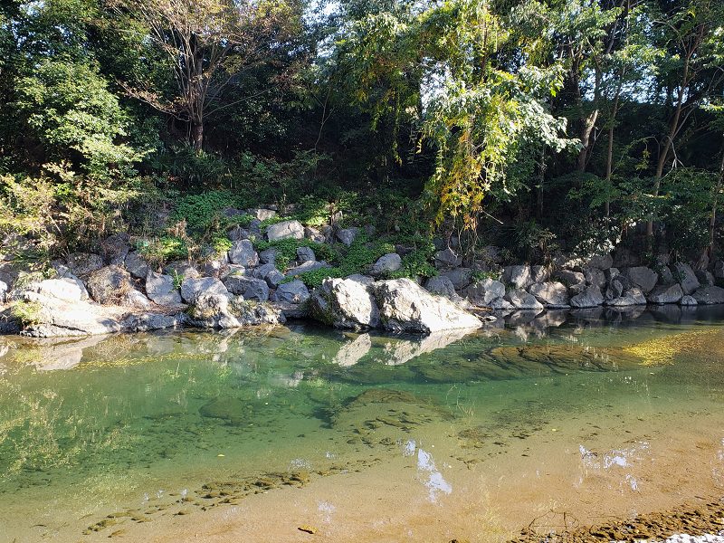 f:id:linkskomagawa:20181104001850j:plain f:id:linkskomagawa:20181104001850j:plain