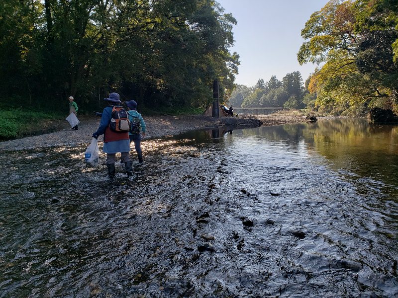 f:id:linkskomagawa:20181104001932j:plain f:id:linkskomagawa:20181104001932j:plain