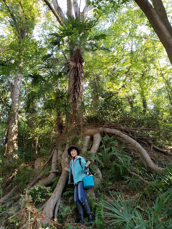 f:id:linkskomagawa:20181104001955j:plain f:id:linkskomagawa:20181104001955j:plain