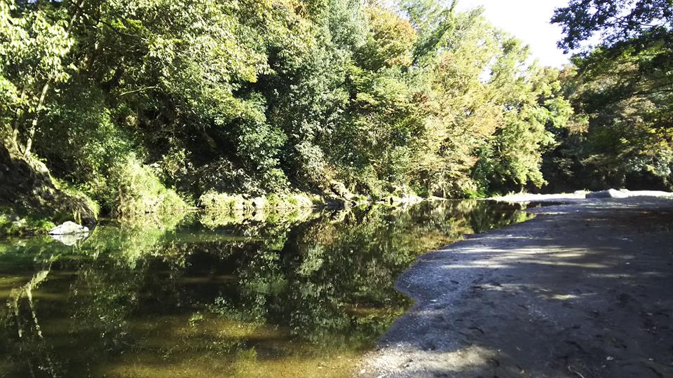 f:id:linkskomagawa:20181104002737j:plain f:id:linkskomagawa:20181104002737j:plain