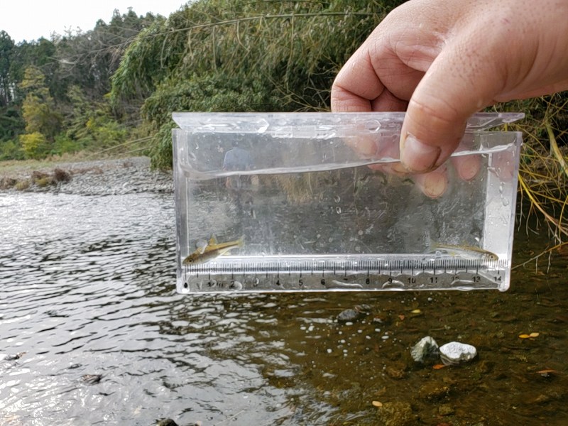 f:id:linkskomagawa:20181119230737j:plain f:id:linkskomagawa:20181119230737j:plain