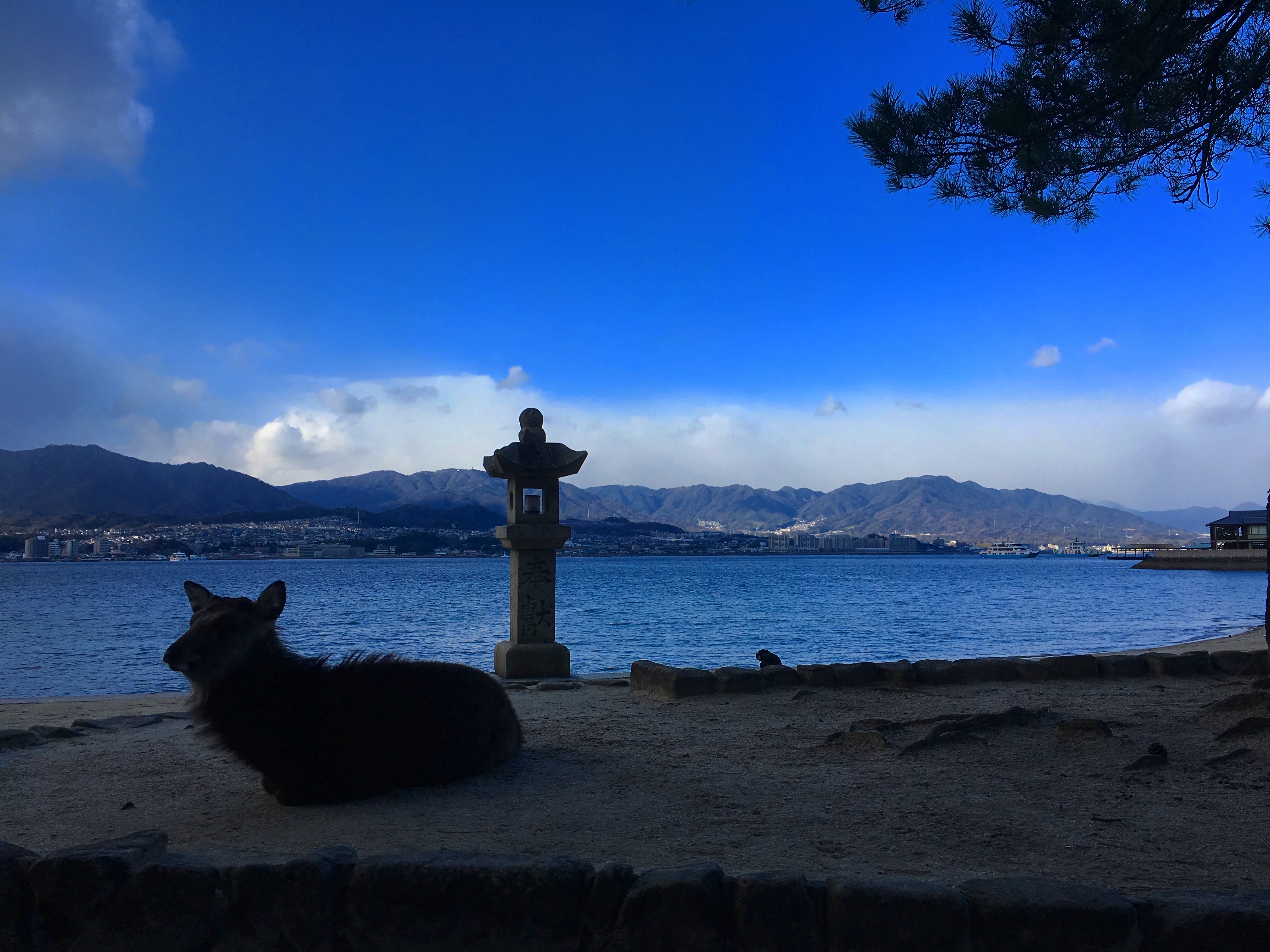 f:id:linkstiedye:20170125153019j:plain f:id:linkstiedye:20170125153019j:plain
