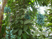 Dsc04694