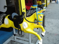 Ny20