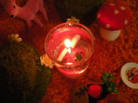 Dscn1528