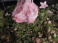 Dscn1749