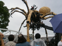 P7080233