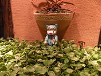 Dscn1991