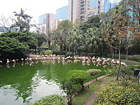 Img_0183