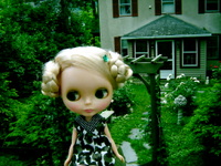 Dsc03026