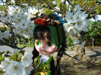 Dsc04479
