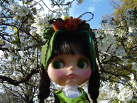 Dsc04480