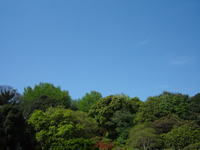 Dsc04595