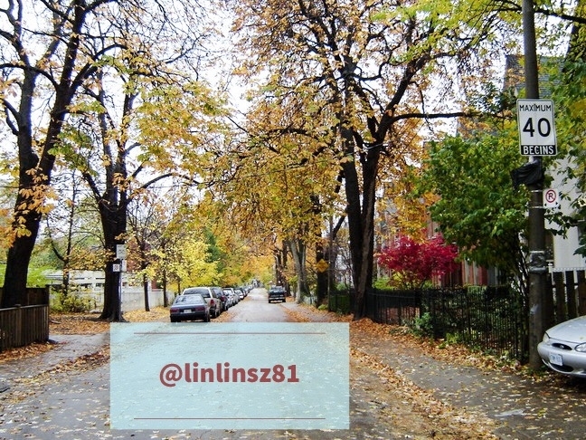 f:id:linlinsz81:20181028194736j:plain f:id:linlinsz81:20181028194736j:plain