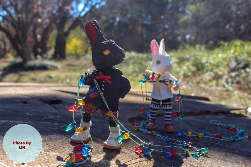 f:id:linlinsz81:20181224231559j:plain