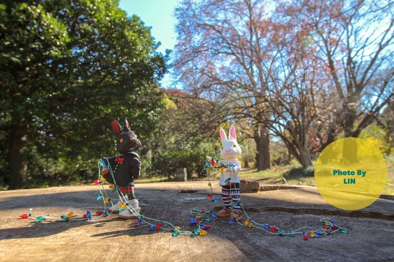 f:id:linlinsz81:20181224231600j:plain