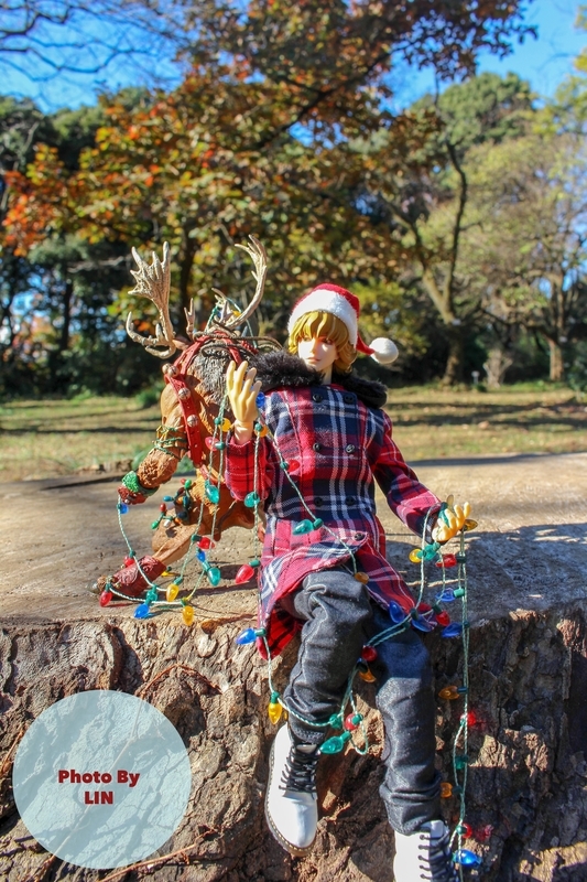 f:id:linlinsz81:20181224231601j:plain