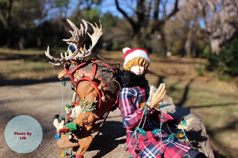 f:id:linlinsz81:20181224231602j:plain