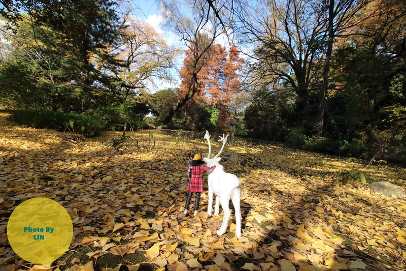 f:id:linlinsz81:20181224231616j:plain