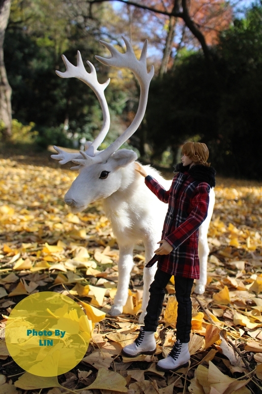 f:id:linlinsz81:20181224231618j:plain