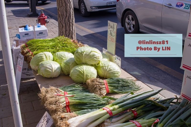 f:id:linlinsz81:20190202182918j:plain f:id:linlinsz81:20190202182918j:plain