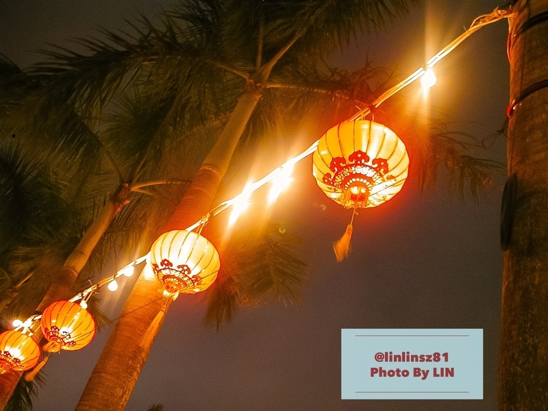 f:id:linlinsz81:20190204233539j:plain