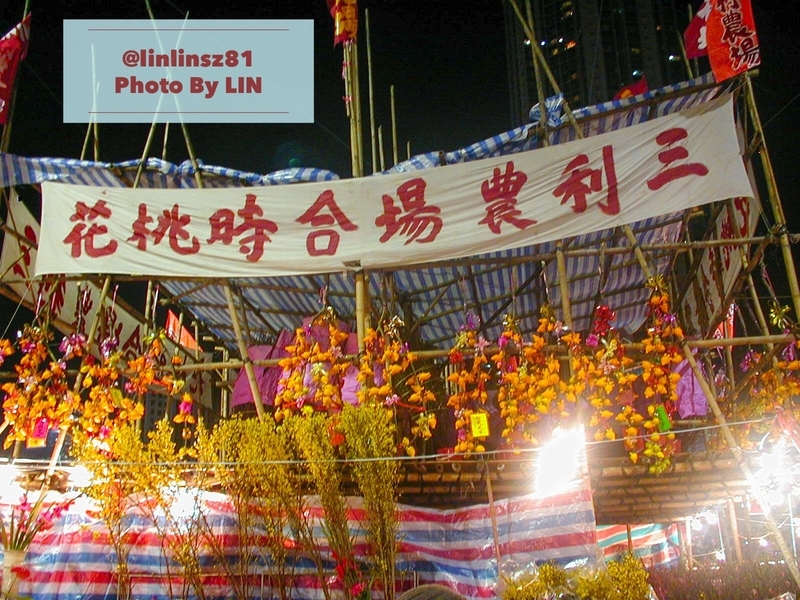 f:id:linlinsz81:20190204233547j:plain