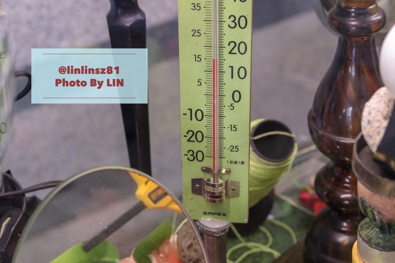 f:id:linlinsz81:20190303043922j:plain f:id:linlinsz81:20190303043922j:plain