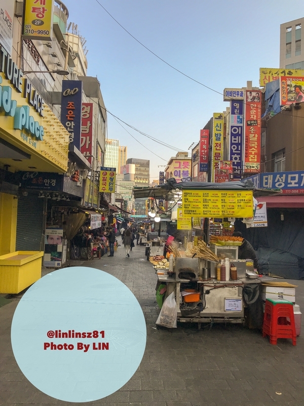 f:id:linlinsz81:20190303225535j:plain f:id:linlinsz81:20190303225535j:plain