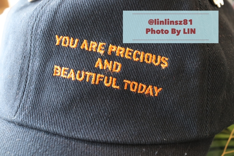 f:id:linlinsz81:20190304220040j:plain f:id:linlinsz81:20190304220040j:plain