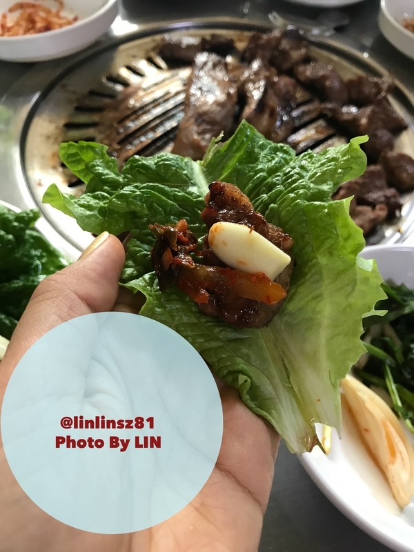 f:id:linlinsz81:20190304220045j:plain f:id:linlinsz81:20190304220045j:plain