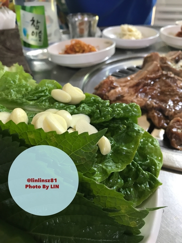 f:id:linlinsz81:20190304220047j:plain f:id:linlinsz81:20190304220047j:plain