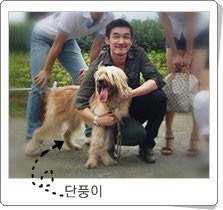 f:id:linlinsz81:20190326214152j:plain f:id:linlinsz81:20190326214152j:plain