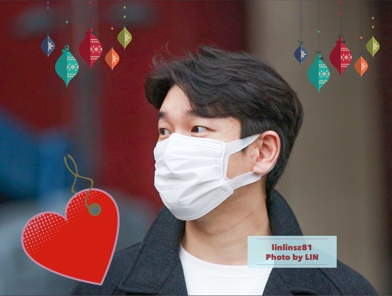f:id:linlinsz81:20190330001010j:plain