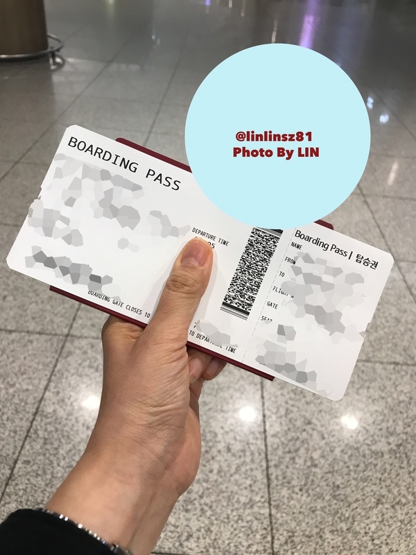 f:id:linlinsz81:20190418115826j:plain