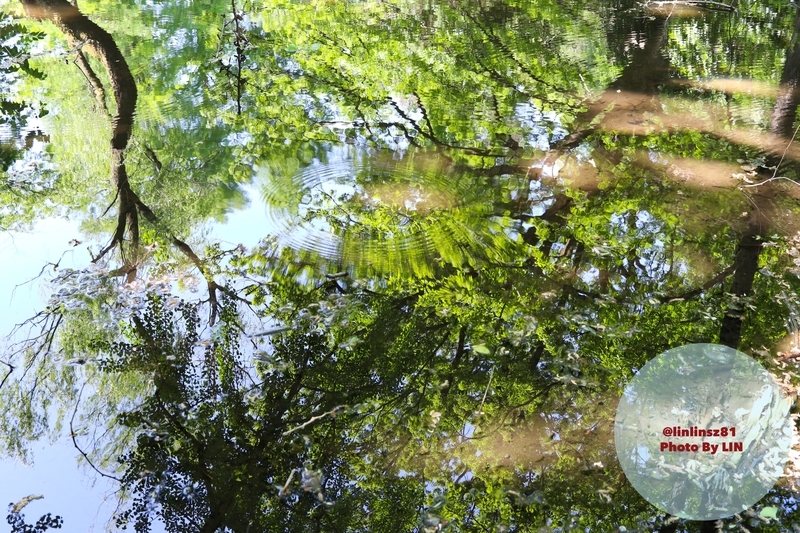 f:id:linlinsz81:20190508185112j:plain f:id:linlinsz81:20190508185112j:plain