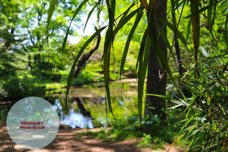 f:id:linlinsz81:20190508185114j:plain f:id:linlinsz81:20190508185114j:plain