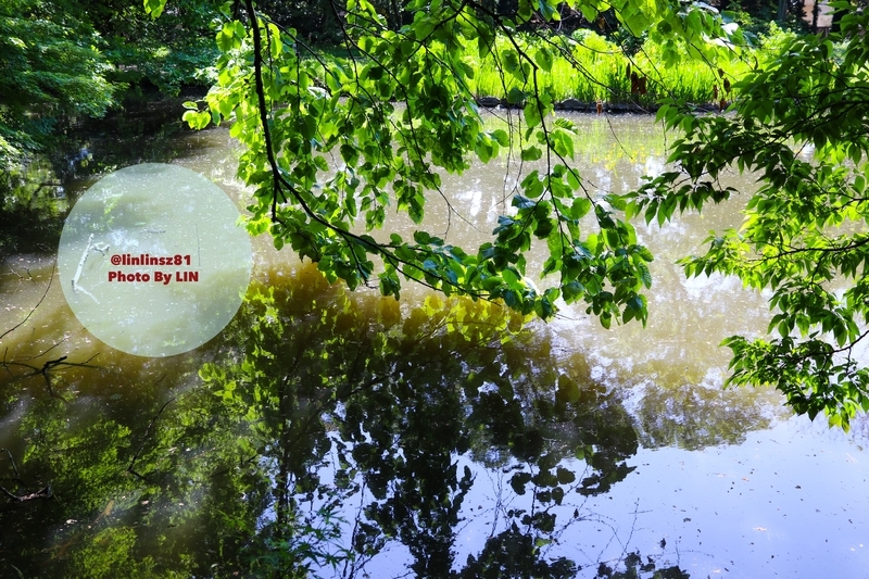 f:id:linlinsz81:20190508185120j:plain f:id:linlinsz81:20190508185120j:plain