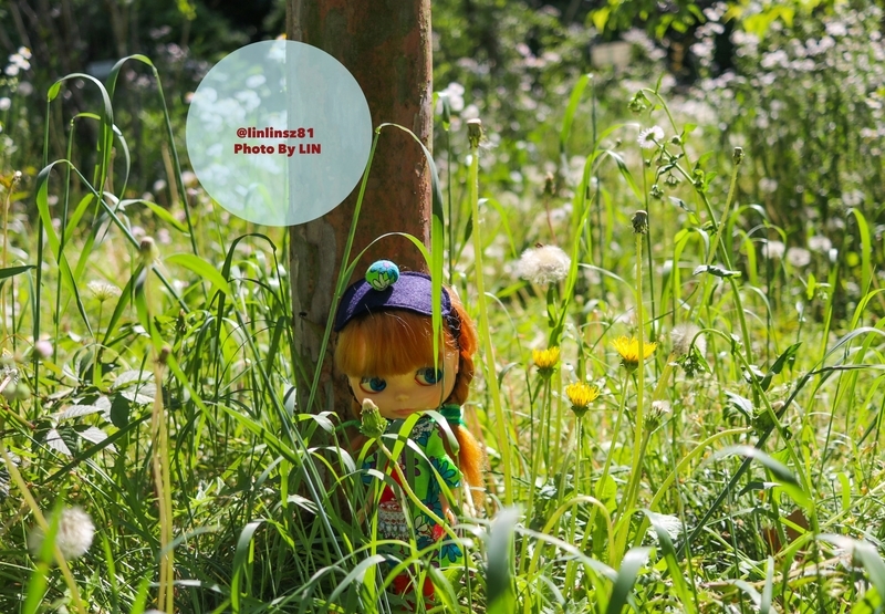 f:id:linlinsz81:20190508185124j:plain f:id:linlinsz81:20190508185124j:plain