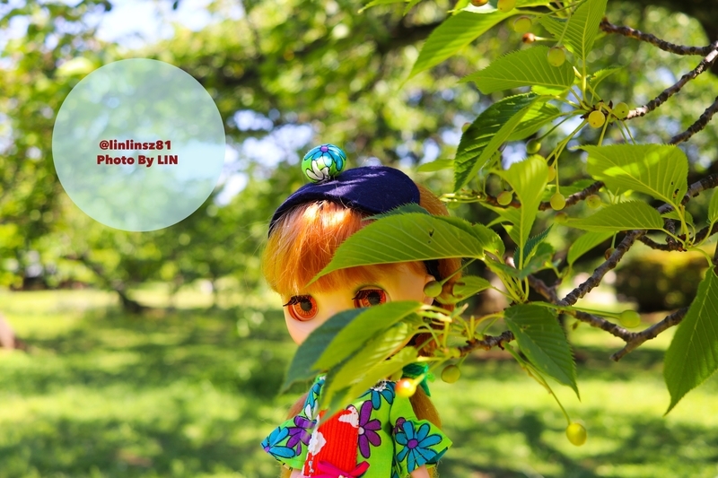 f:id:linlinsz81:20190508185129j:plain f:id:linlinsz81:20190508185129j:plain