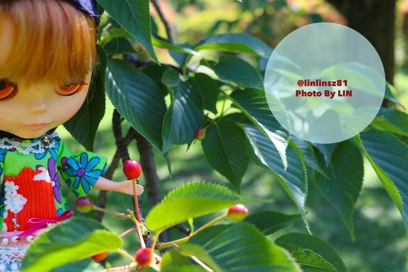 f:id:linlinsz81:20190508185130j:plain f:id:linlinsz81:20190508185130j:plain