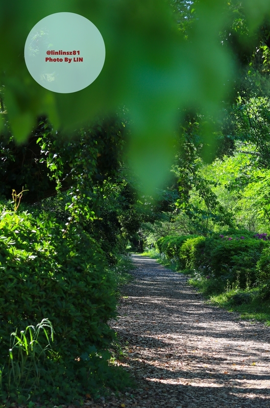 f:id:linlinsz81:20190508185138j:plain f:id:linlinsz81:20190508185138j:plain