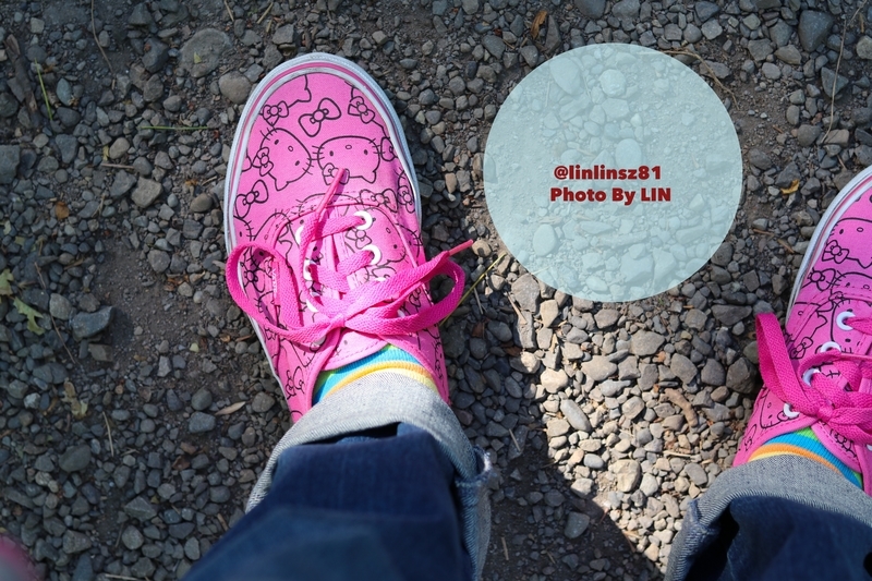 f:id:linlinsz81:20190508185140j:plain f:id:linlinsz81:20190508185140j:plain