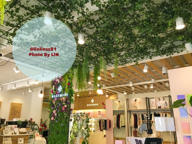 f:id:linlinsz81:20190516215339j:plain f:id:linlinsz81:20190516215339j:plain
