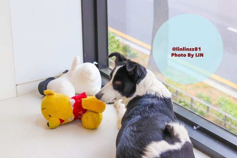 f:id:linlinsz81:20190517223326j:plain f:id:linlinsz81:20190517223326j:plain