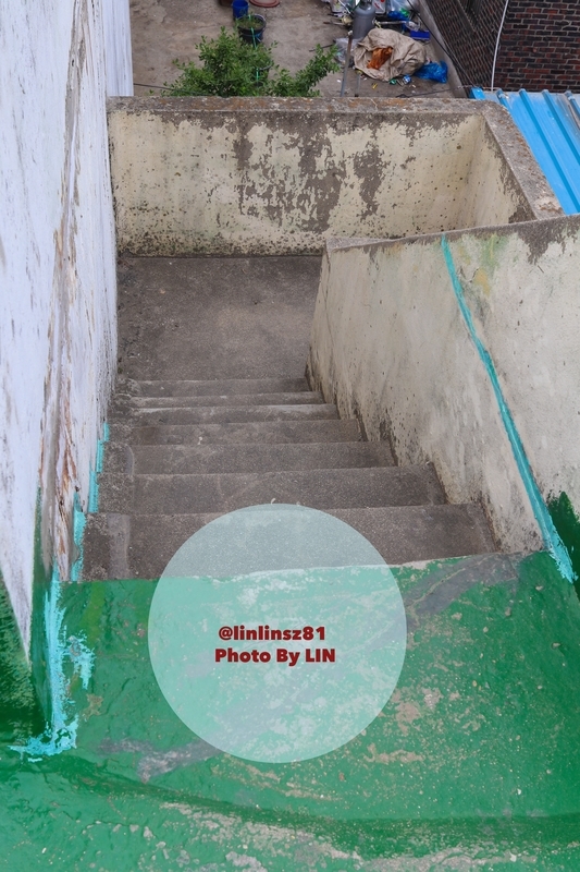 f:id:linlinsz81:20190517223355j:plain f:id:linlinsz81:20190517223355j:plain
