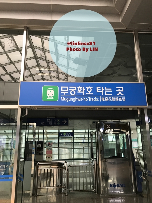 f:id:linlinsz81:20190517223411j:plain f:id:linlinsz81:20190517223411j:plain