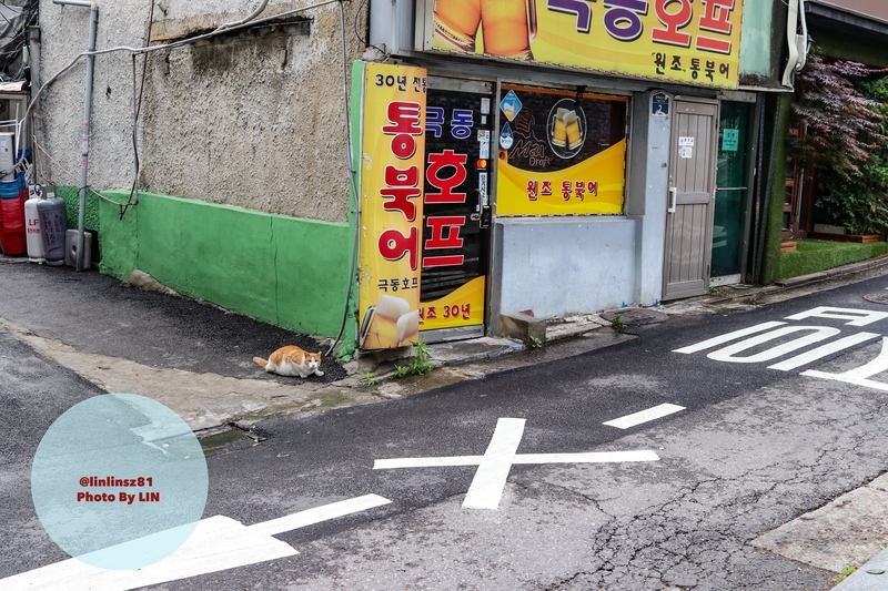 f:id:linlinsz81:20190520212632j:plain f:id:linlinsz81:20190520212632j:plain